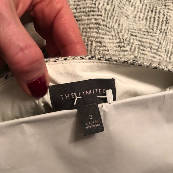 Beautiful skirt from the Limited. *worn once - Picture 3 of 7